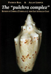 the_pulchra_complex_couvh250 west_african_seashells_couvh250