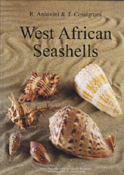 west_african_seashells_couvh250 West african seashells